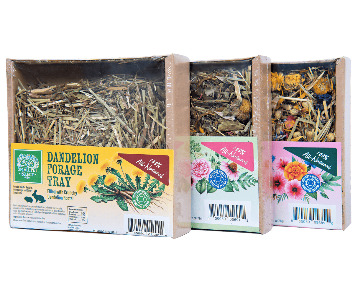 Forage Tray Bundle