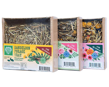 Forage Tray Bundle