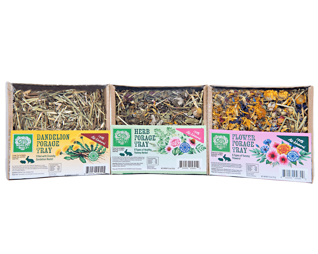 Forage Tray Bundle