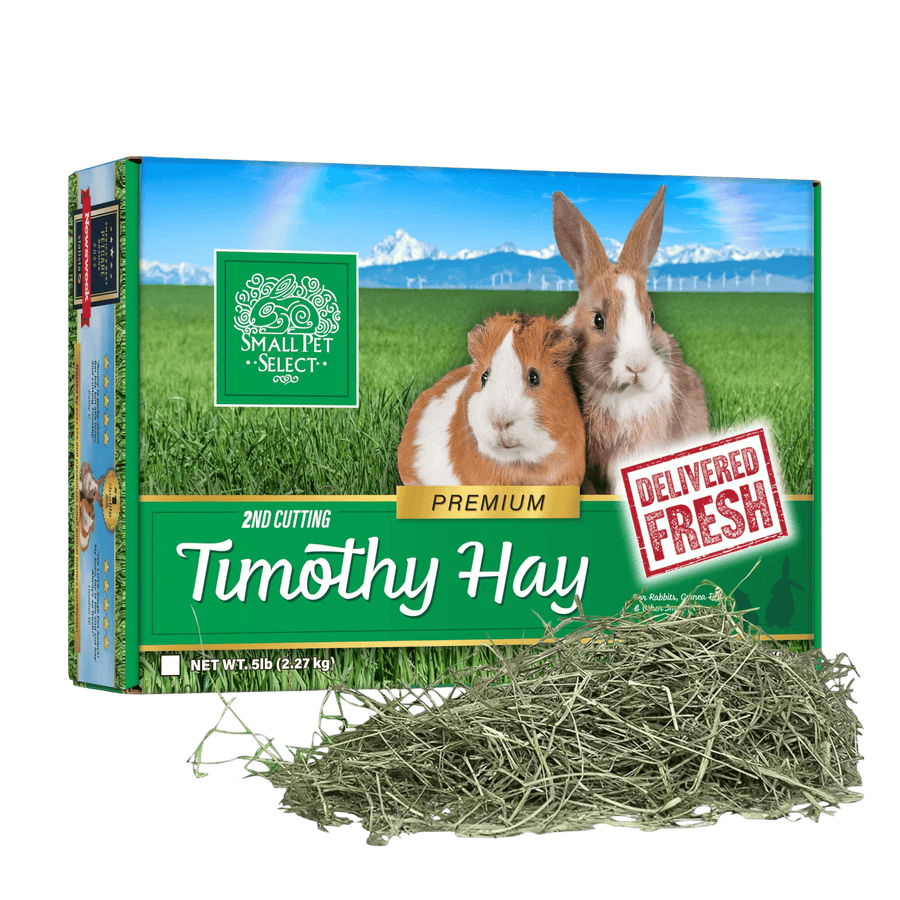 Premium Timothy Hay for Rabbits and Guinea Pigs – Small Pet Select U.S.