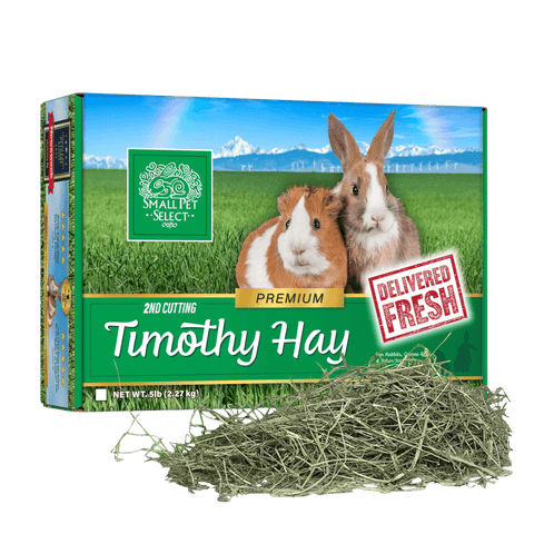 Small Pet Select 2nd Cutting Timothy Hay for rabbits