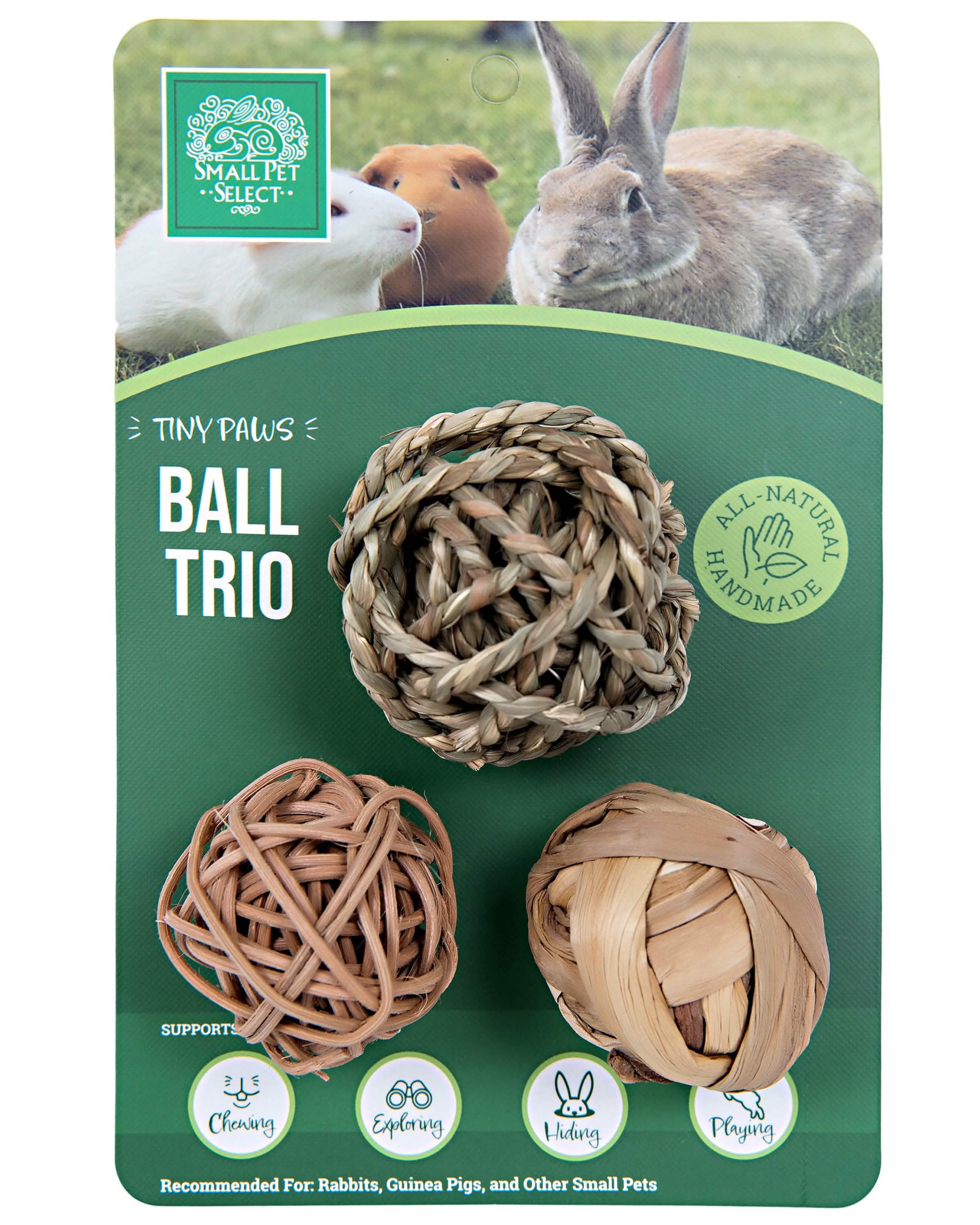 Small Pet Select Tiny Paws Ball Trio for Rabbits & Guinea Pigs