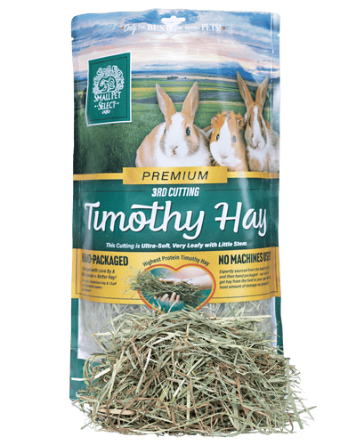 3rd Cutting Timothy Hay