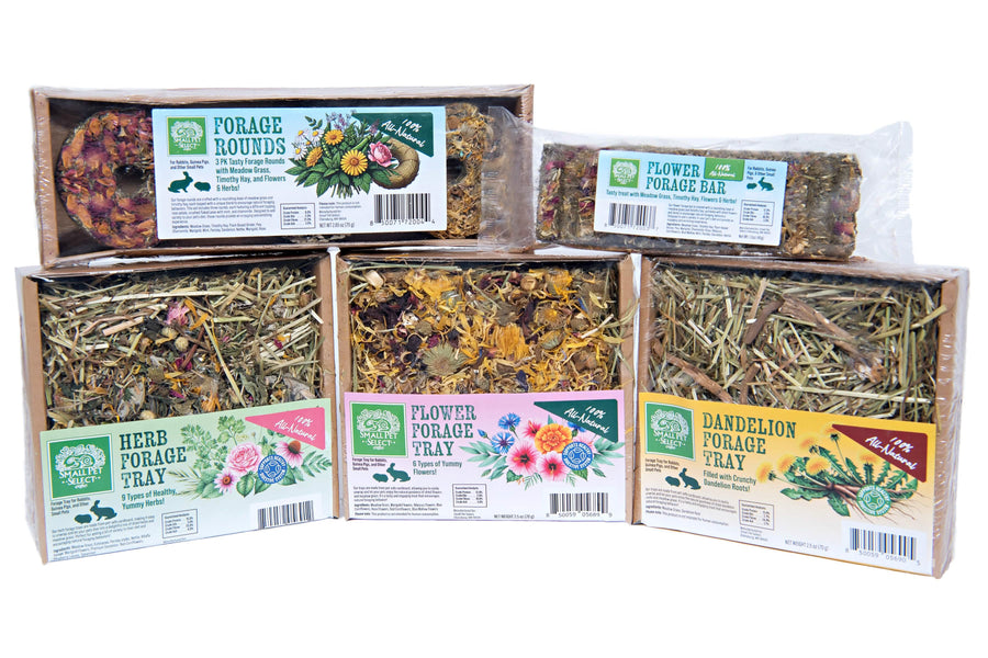 Healthy, Organic Snacks and Treats for Rabbits | Small Pet Select ...
