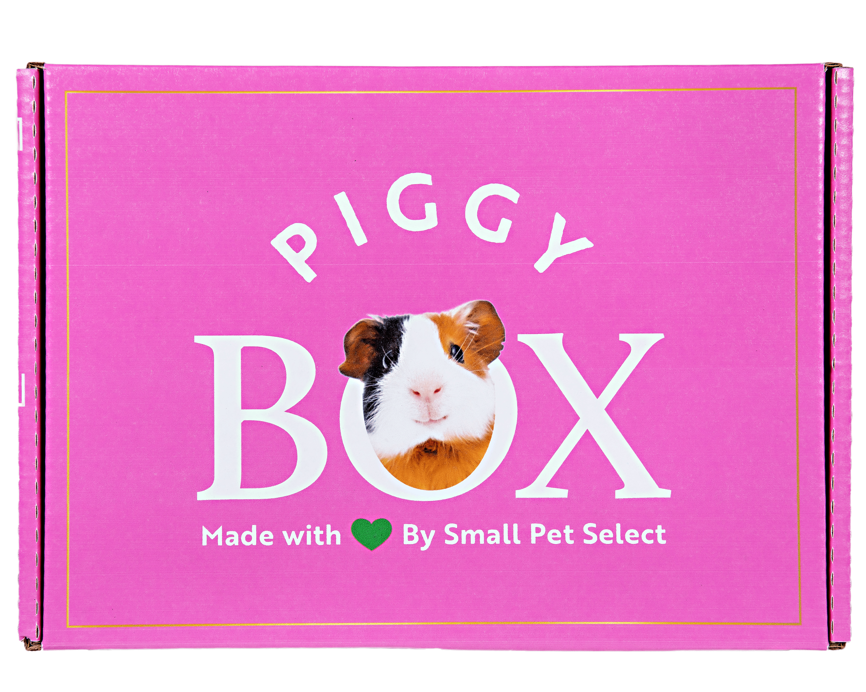 The Piggy Box Guinea Pig Subscription Box – Small Pet Select