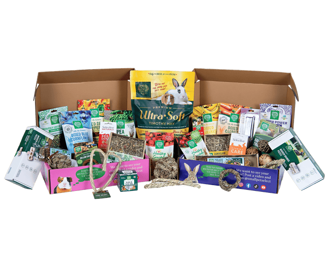 The Bunny Box | Rabbit Subscription Box – Small Pet Select U.S.