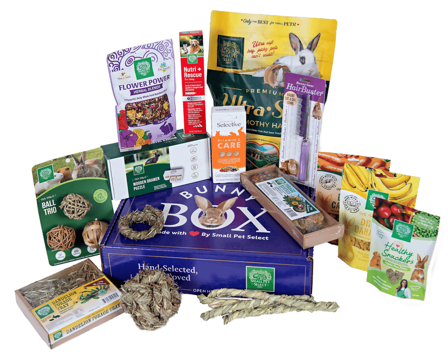 The Bunny Box | Rabbit Subscription Box – Small Pet Select U.S.