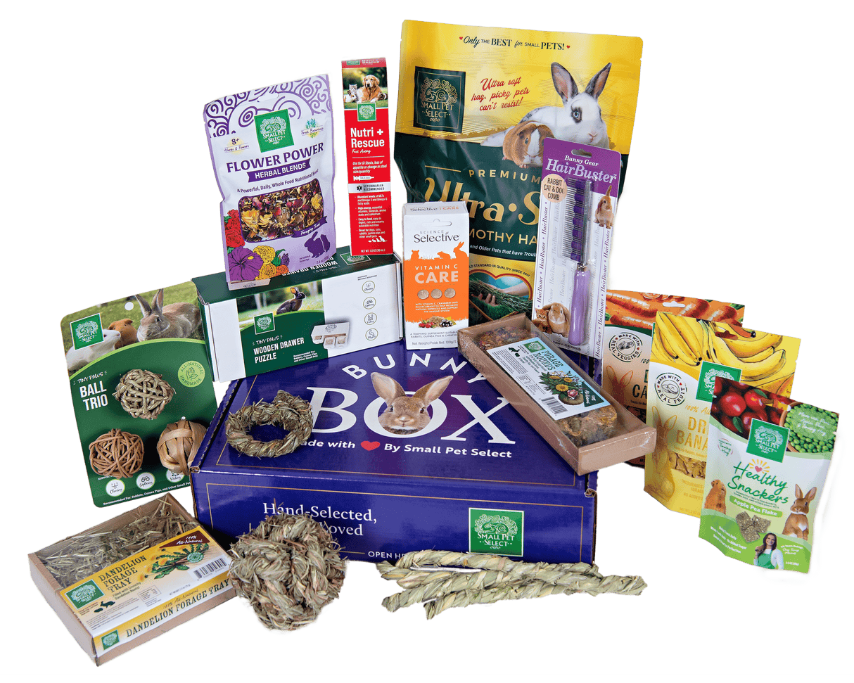 The Bunny Box