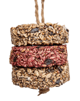 Peck 'N Play Hanging Treat