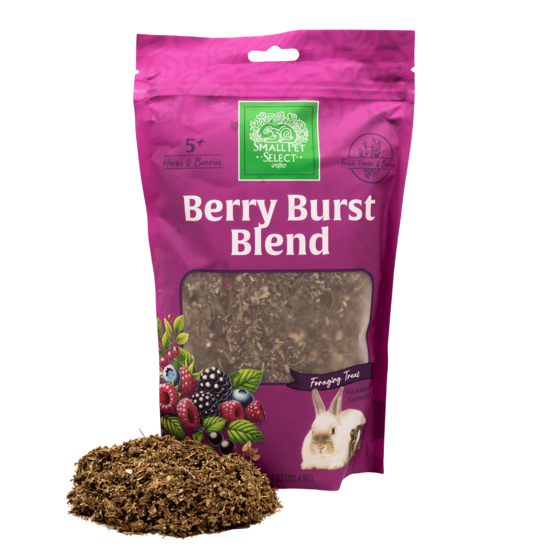 Berry Burst Blend - 100% All-Natural – Small Pet Select U.S.