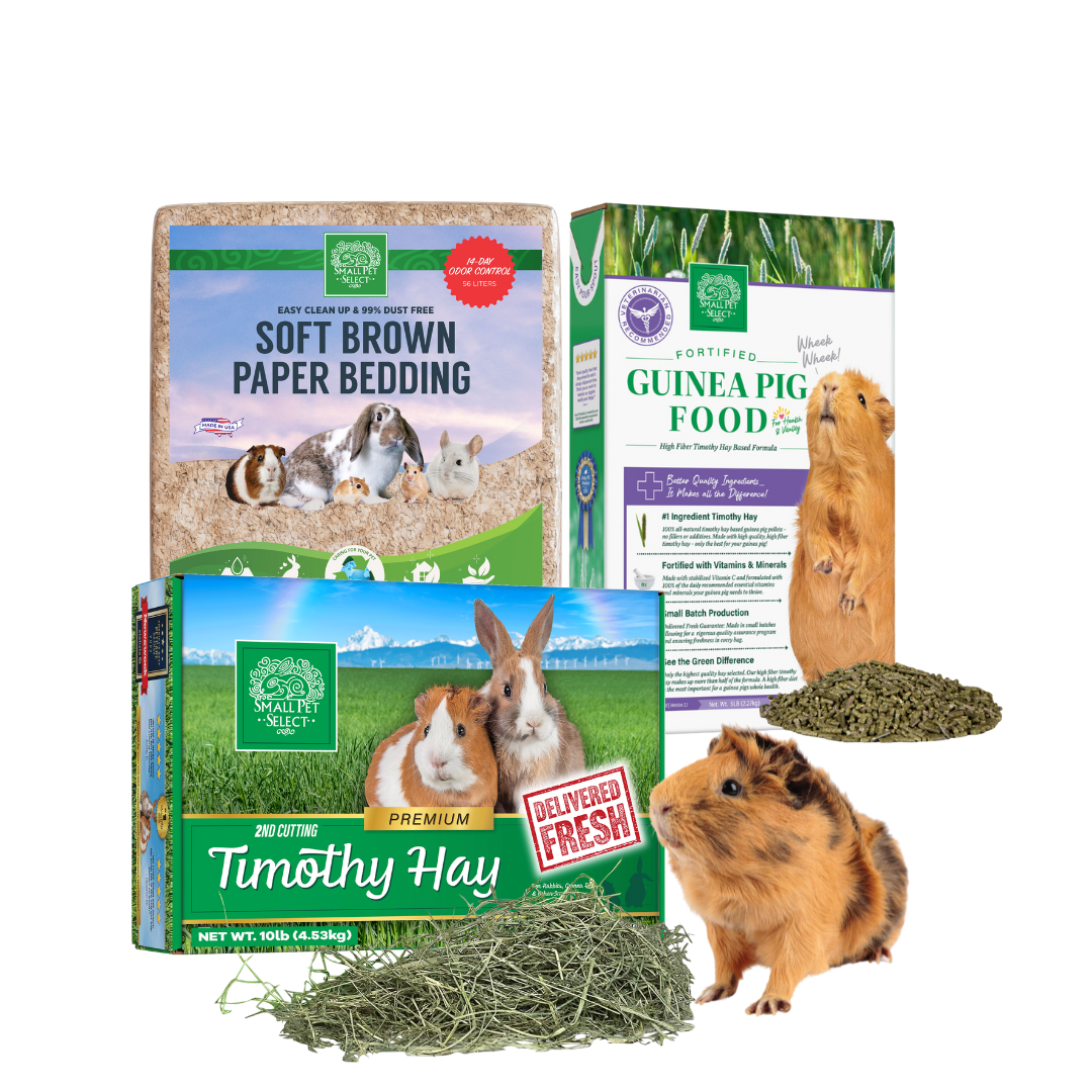 Free guinea clearance pig supplies