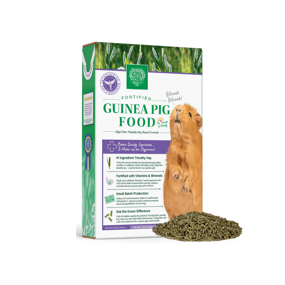 The Best Guinea Pig Products & Supplies | Small Pet Select - Small Pet ...