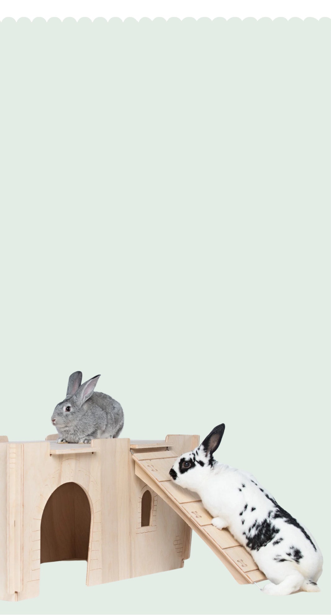 Tiny Paws Habitat Hideout Castle - Medium – Small Pet Select U.S.