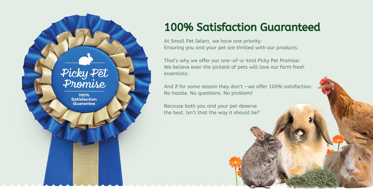 Nutri-Rescue (fast nutrition to keep GI tract moving) – Small Pet ...