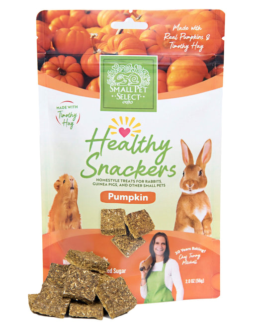 Healthy Snacks and Treats for Guinea Pigs | Small Pet Select – Small ...
