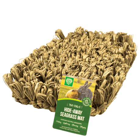 Tiny Paws Hide-Away Seagrass Mat