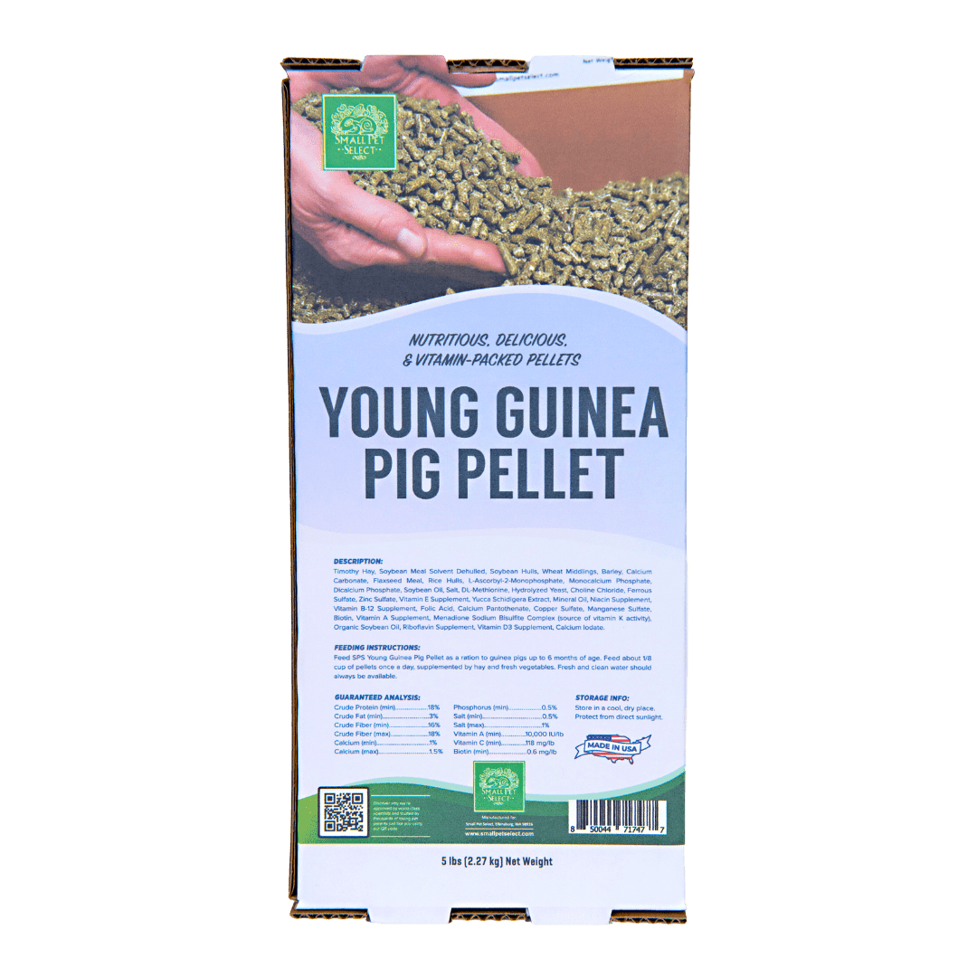 Young Guinea Pig Food Pellet