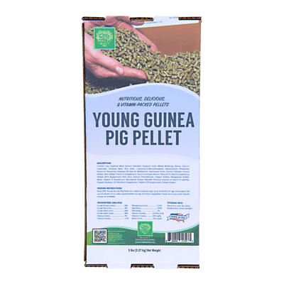 Young Guinea Pig Food Pellet