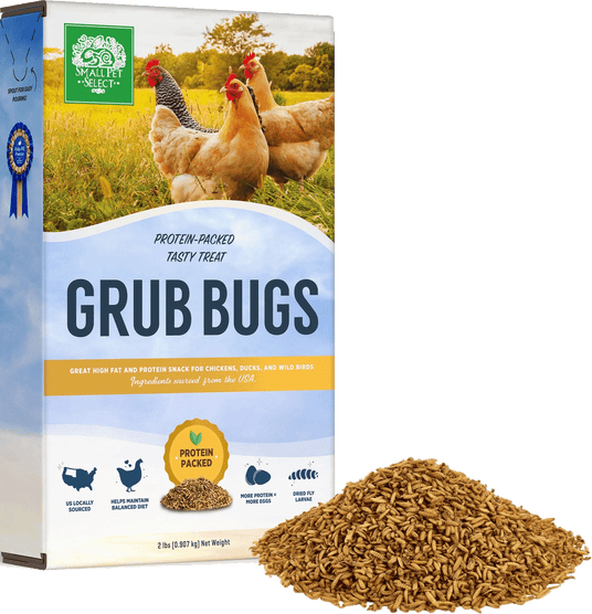 grubs bigs for chickens