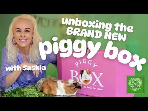 The Piggy Box