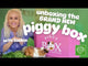 The Piggy Box