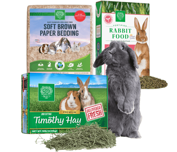 Small Rabbit Kits The Best Rabbit Products & Supplies | Small Pet Select – Small Pet ...