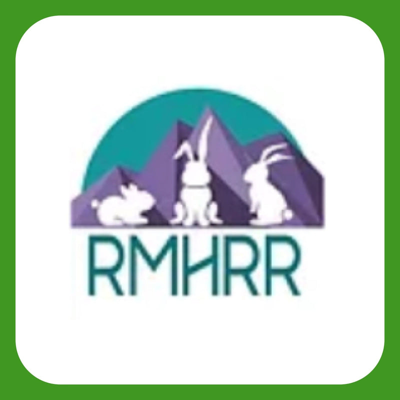 rmhrr logo