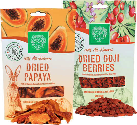 snack for rats from small pet select
