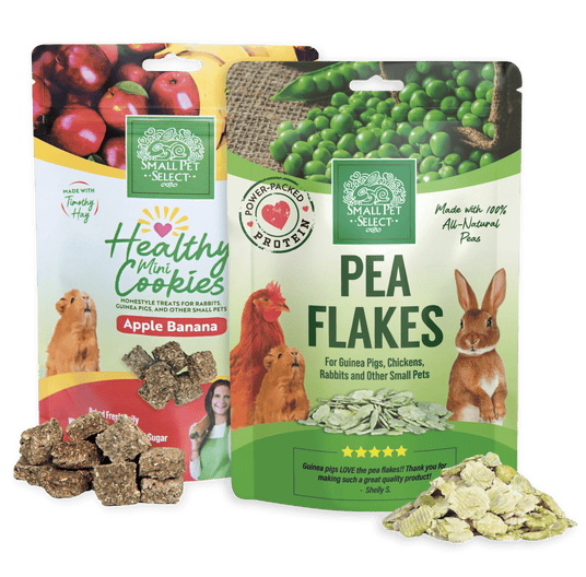 snacks for small pets