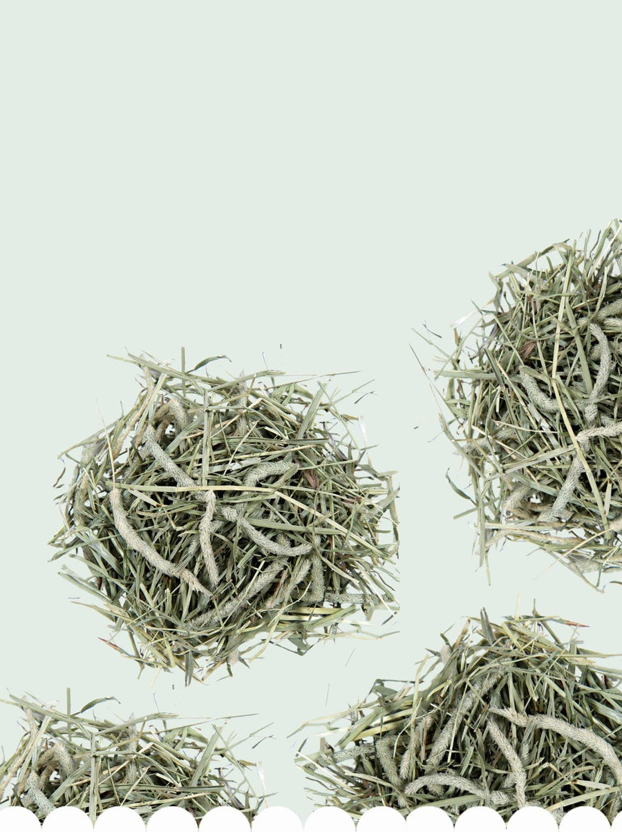 Types of Hay, Explained – Small Pet Select U.S.