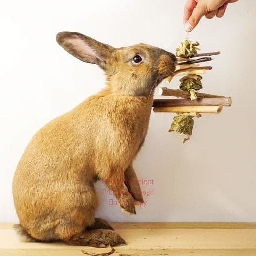 Hay and Twig Mobiles, :Smallpetselect