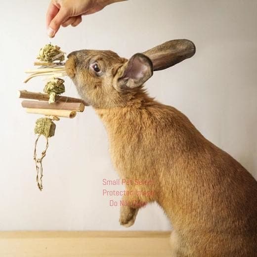 Hay and Twig Mobiles, :Smallpetselect