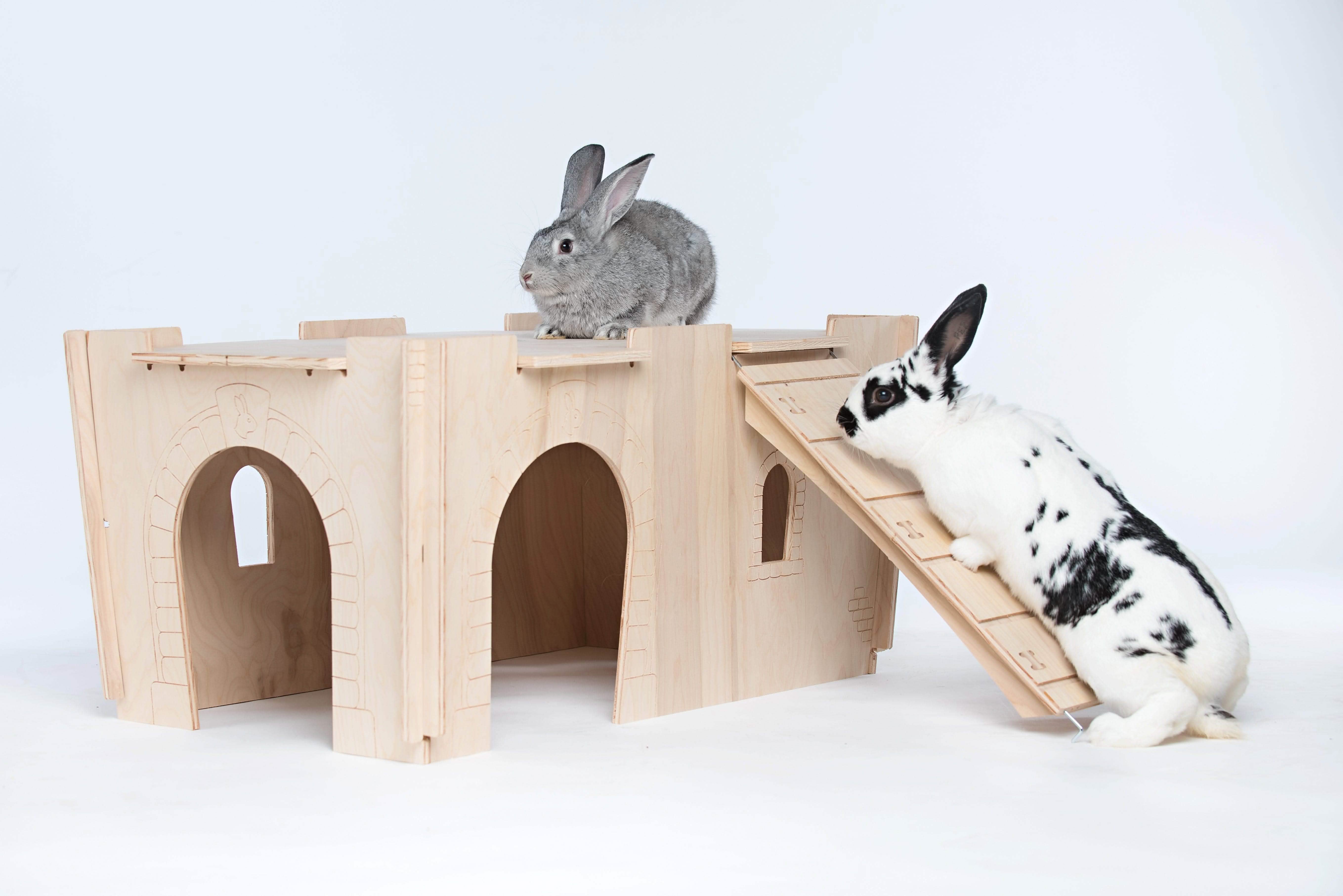 Tiny Paws Hideaway Habitat Tunnel-Large – Small Pet Select U.S.
