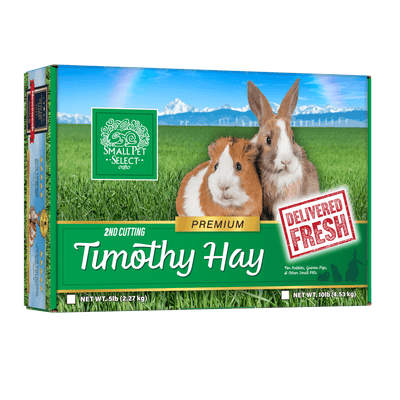 2nd Cutting Timothy Hay