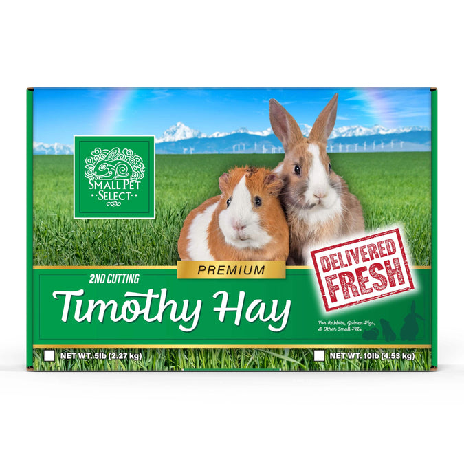 Curated visual reference: Visual Reference: Premium Timothy Hay For Rabbits And Guinea Pigs