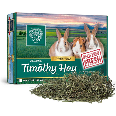 Small Pet Select 3rd Cutting Timothy Hay for picky chinchillas