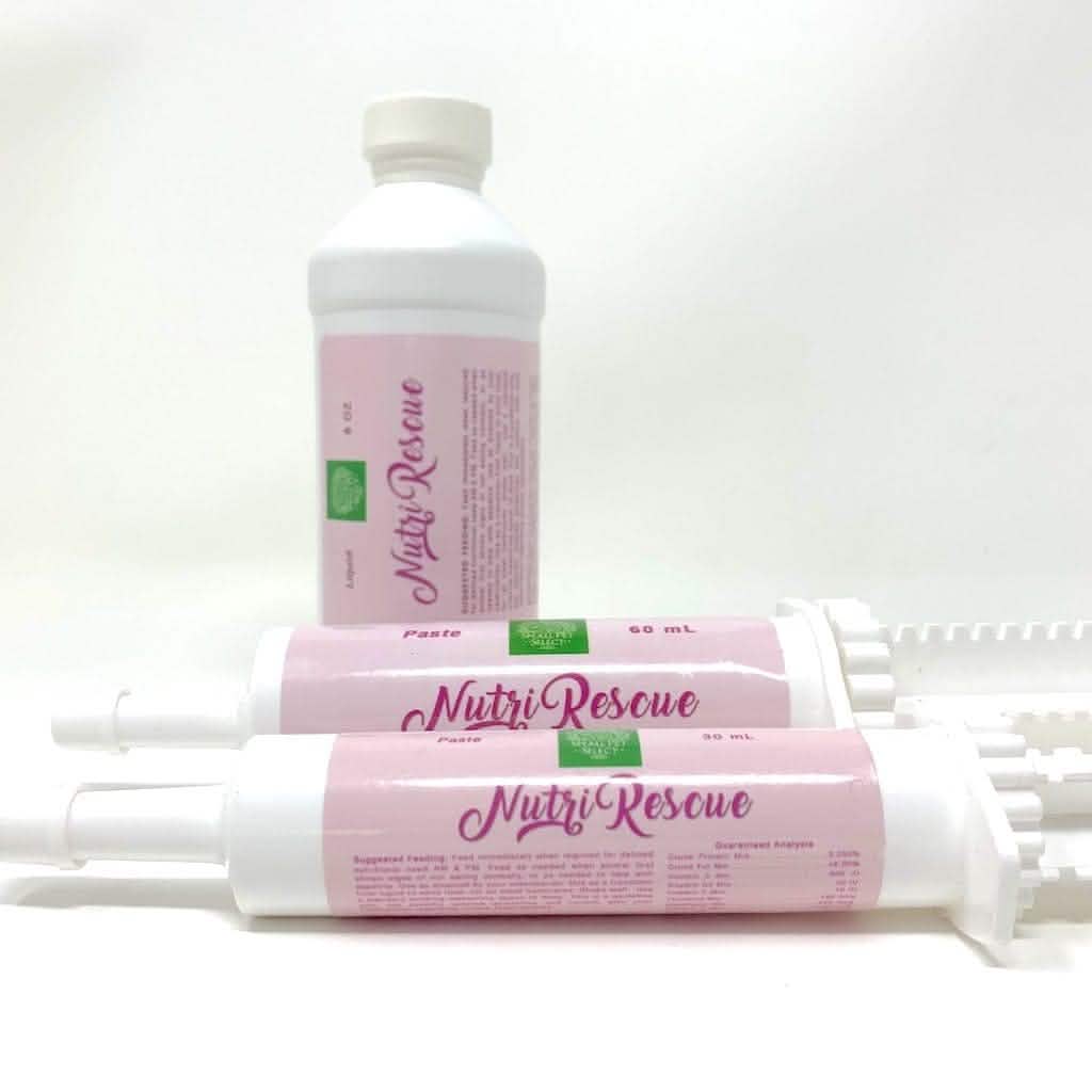 Nutri-Rescue (fast nutrition to keep GI tract moving) - Small Pet ...
