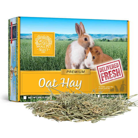 Small Pet Select Oat Hay for chinchilla chewing variety