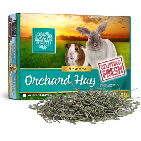 Small Pet Select Orchard Hay for chinchilla hay boredom
