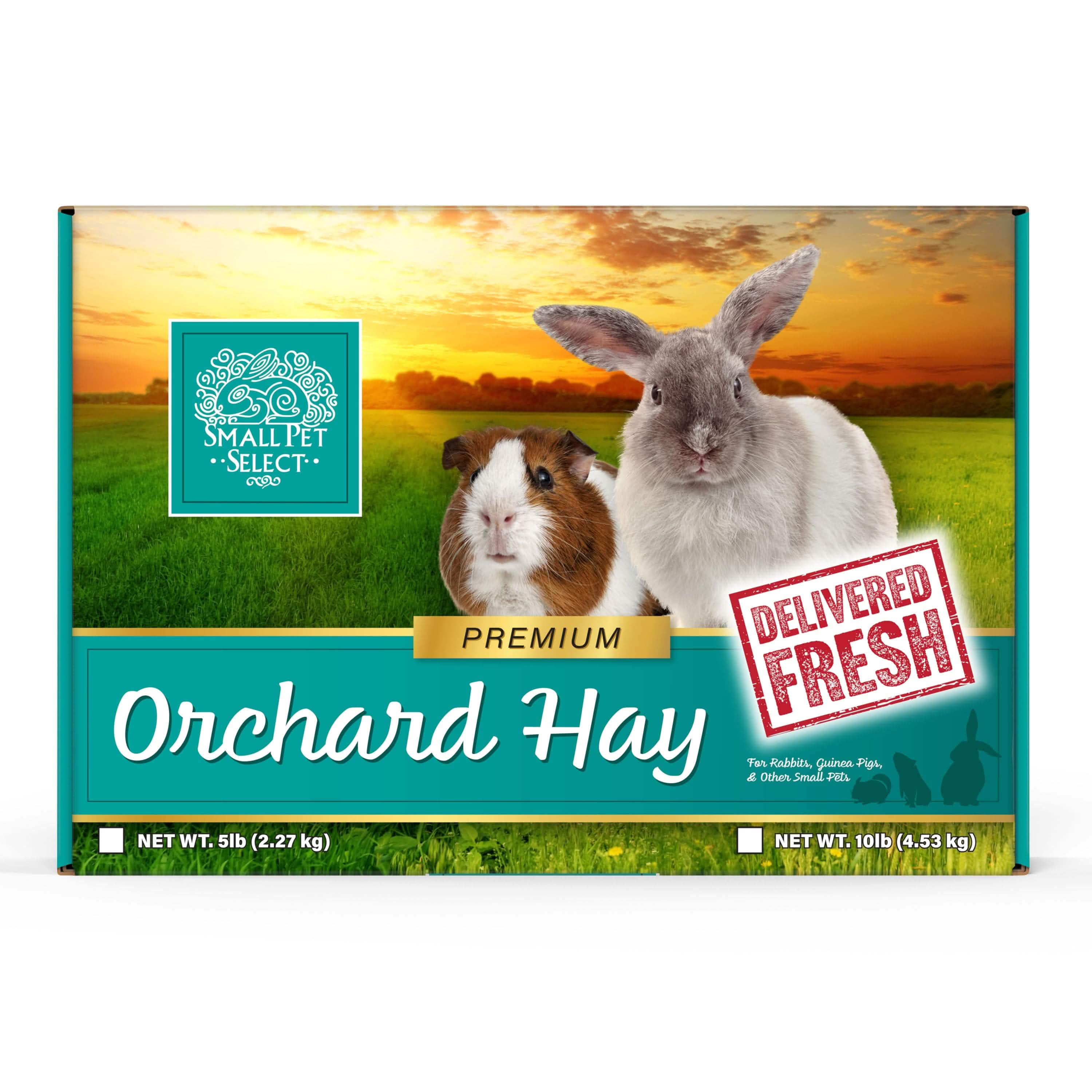 Oat Hay Bluegrass Hay For Guinea Pigs Grass Hay For Rabbits