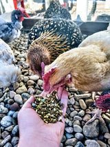 Garden Goodness Layer Feed with Botanicals (corn-free, soy-free, non-GMO), Chicken feed:Smallpetselect