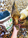 Garden Goodness Layer Feed with Botanicals (corn-free, soy-free, non-GMO), Chicken feed:Smallpetselect